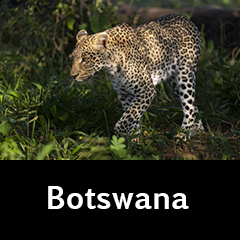Botswana