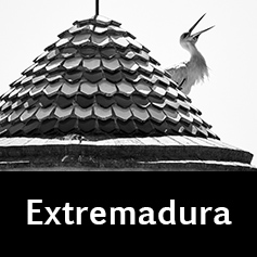 Extremadura