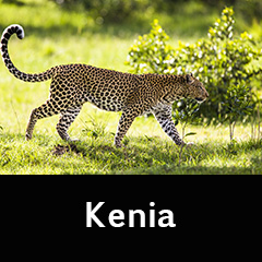 Kenia