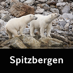 Spitzbergen