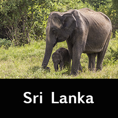 Sri Lanka