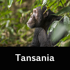 Tansania