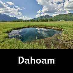 Dahoam