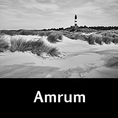 Amrum